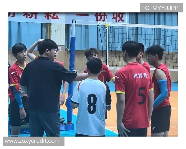 武汉排球队在全国排球团队协作排行榜中荣获第三名的佳绩